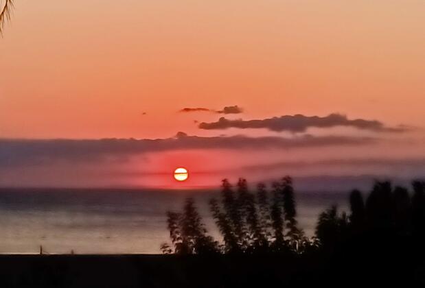 Adra Club Apart Pansiyon Tatil Evleri  - Görsel 22