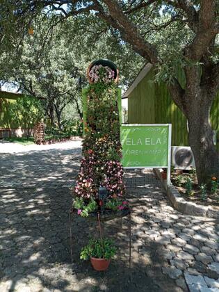 Ören Ela Bungalow - Görsel 12