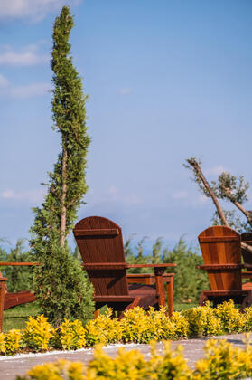 Assos Troy Beach Hotel - Görsel 11