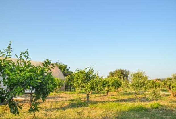 Quonset Glamping - Görsel 3