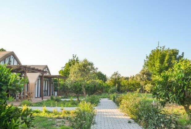 Quonset Glamping - Görsel 33