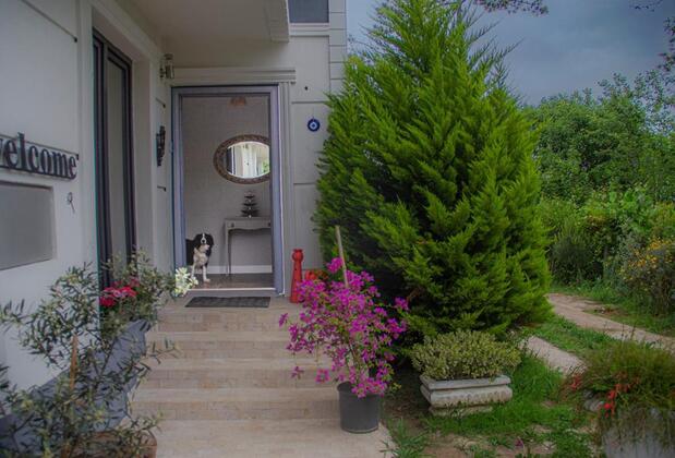 Lalezar Sea Garden Hotel - Görsel 3