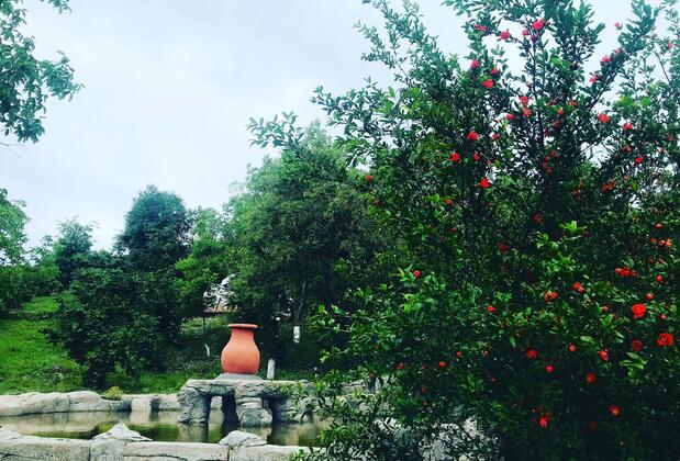 Phalesia Glamping - Görsel 20