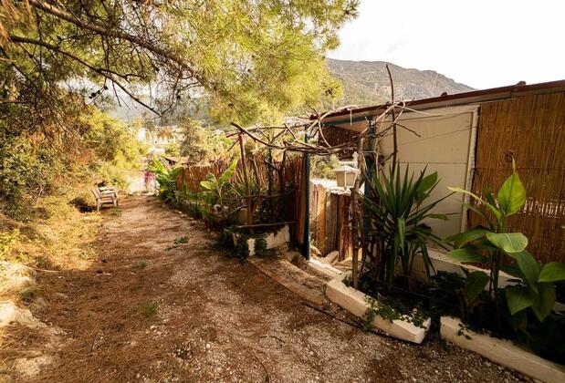 Begonvilla Bungalows Ölüdeniz - Görsel 9