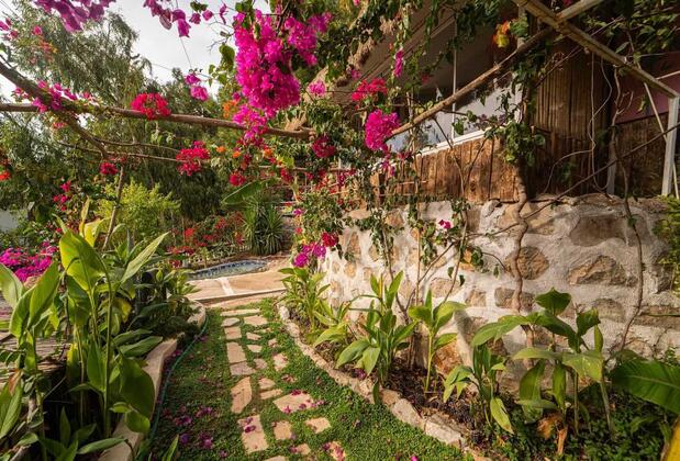 Begonvilla Bungalows Ölüdeniz - Görsel 14