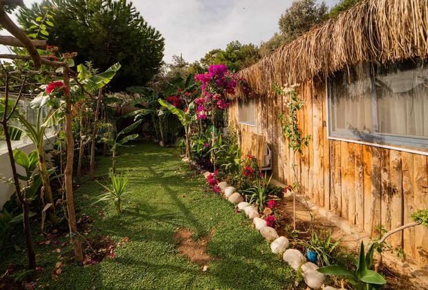 Begonvilla Bungalows Ölüdeniz - Görsel 15