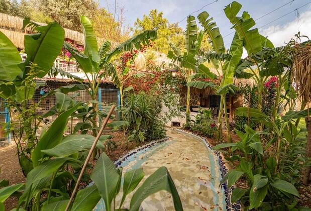 Begonvilla Bungalows Ölüdeniz - Görsel 25