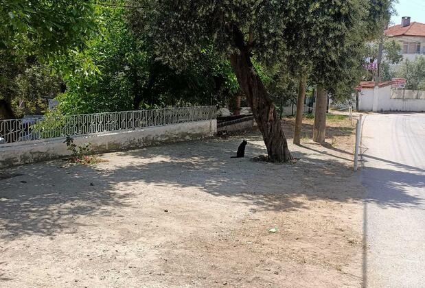 Gökhan Bilgiç Pansiyon - Görsel 3