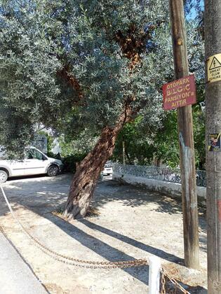 Gökhan Bilgiç Pansiyon - Görsel 4