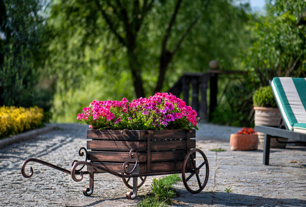 Wineport Lodge Ağva - Görsel 23