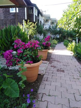 Olimpos Poseidon  - Görsel 9