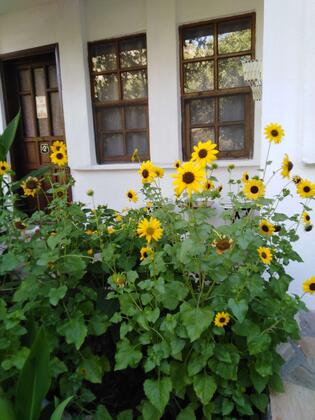 Olimpos Poseidon  - Görsel 11