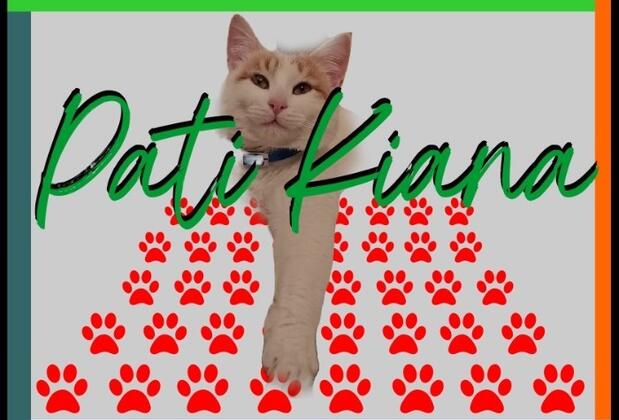 Bay Kiana Holiday Village - Görsel 12