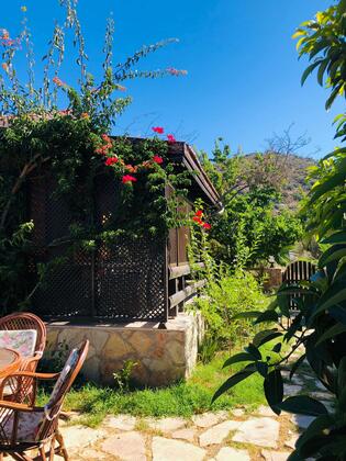 Botanik Ahşap Evler - Görsel 32