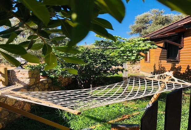 Botanik Ahşap Evler - Görsel 29