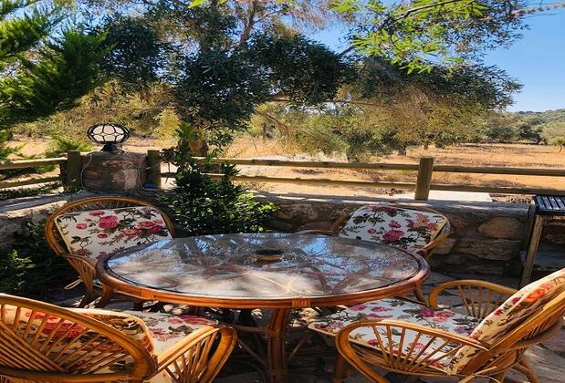 Botanik Ahşap Evler - Görsel 35