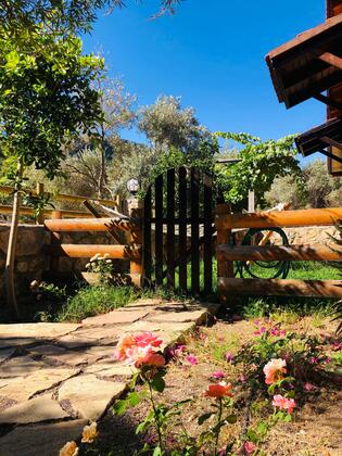 Botanik Ahşap Evler - Görsel 37