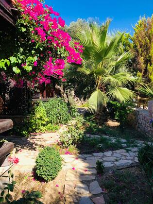 Botanik Ahşap Evler - Görsel 40