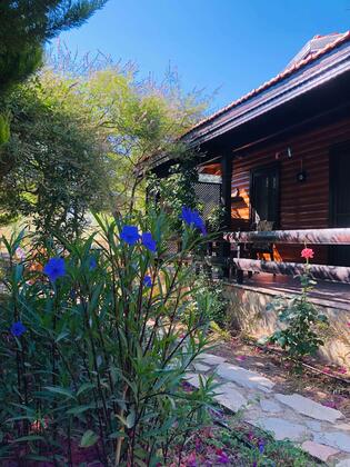 Botanik Ahşap Evler - Görsel 41