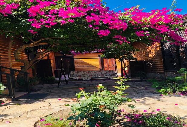 Botanik Ahşap Evler - Görsel 42