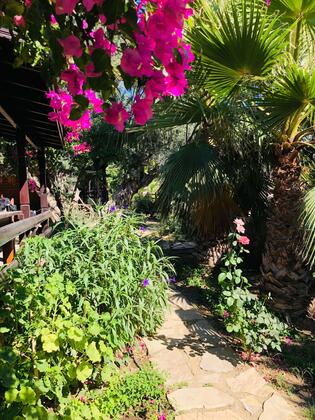 Botanik Ahşap Evler - Görsel 43