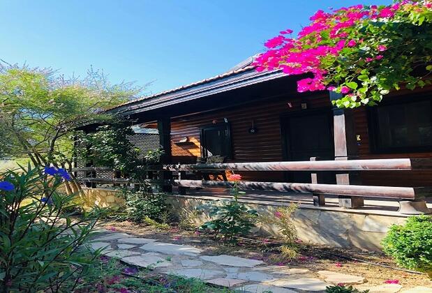 Botanik Ahşap Evler - Görsel 44