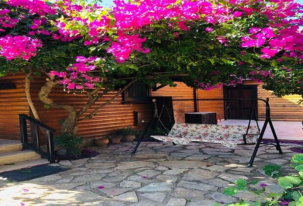 Botanik Ahşap Evler - Görsel 46