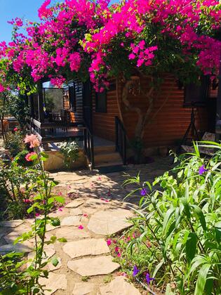 Botanik Ahşap Evler - Görsel 47