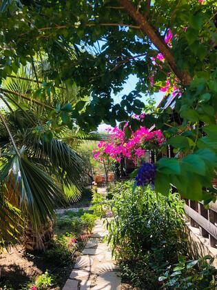 Botanik Ahşap Evler - Görsel 48