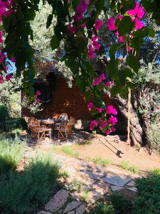 Botanik Ahşap Evler - Görsel 49