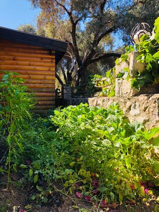 Botanik Ahşap Evler - Görsel 50