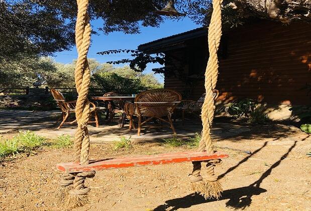 Botanik Ahşap Evler - Görsel 10