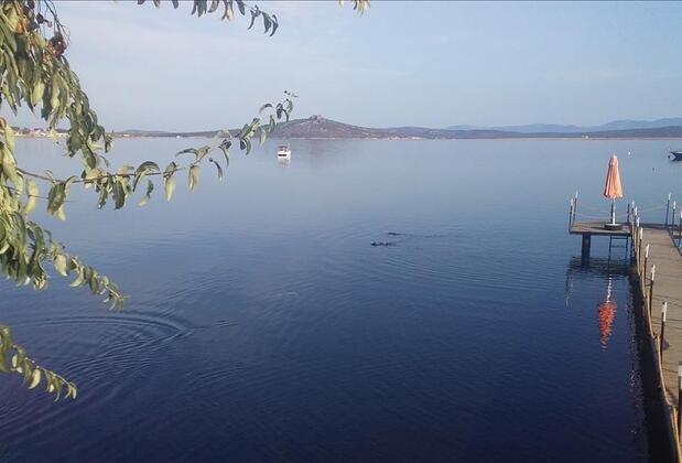 Cunda Aşiyan Otel - Görsel 35