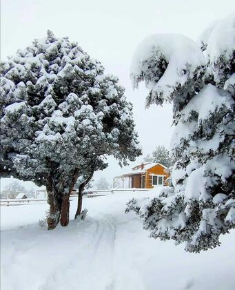 Dağ Evim Denizli - Görsel 4