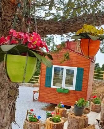 Dağ Evim Denizli - Görsel 5