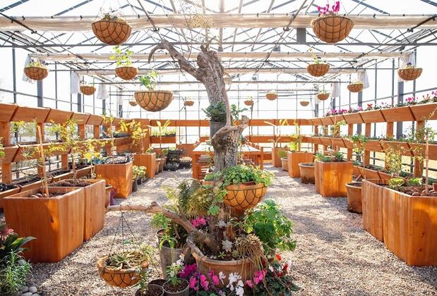 Pınar Otel Erdek - Görsel 47