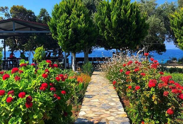 Eray Pansiyon Mazı - Görsel 11