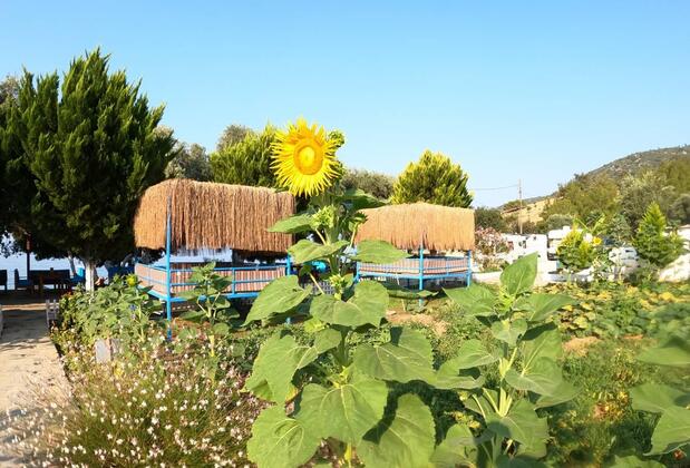 Eray Pansiyon Mazı - Görsel 10