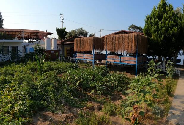 Eray Pansiyon Mazı - Görsel 7