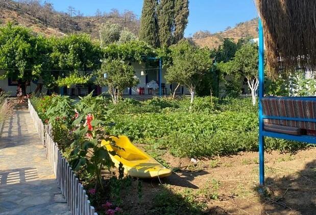 Eray Pansiyon Mazı - Görsel 8