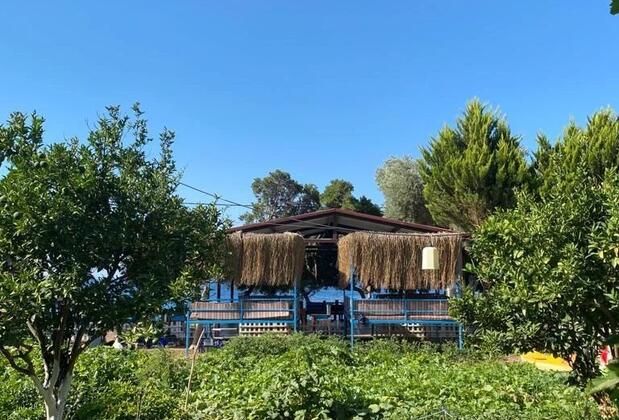 Eray Pansiyon Mazı - Görsel 9