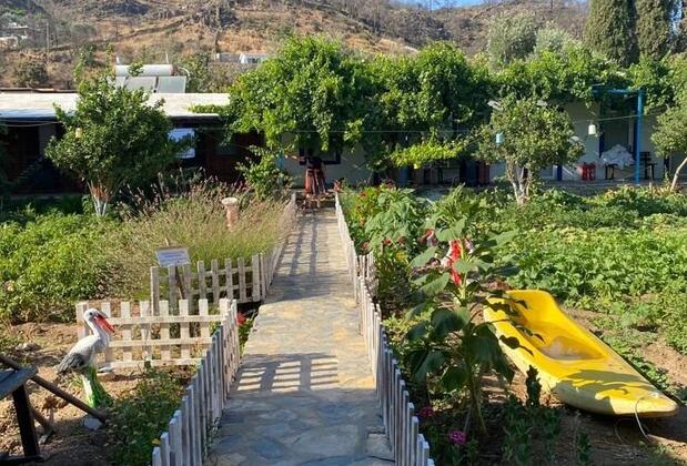 Eray Pansiyon Mazı - Görsel 14