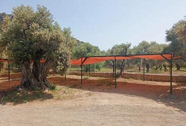 Keyfi Mahal Apart & Kamp Alanı - Görsel 6