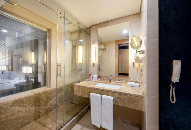 Ramada Plaza By Wyndham Istanbul City Center - Görsel 40