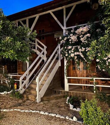 Olympos Baykuş Lodge - Görsel 4
