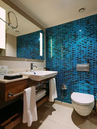 Asteria Family Resort Belek - Görsel 14