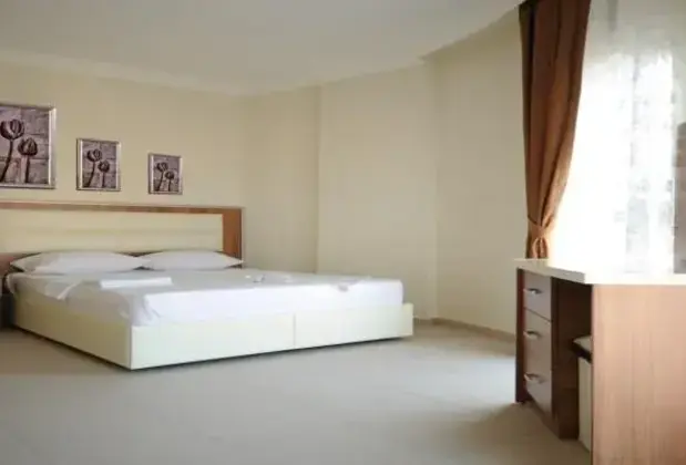 Truva Hotel Ayaş - Görsel 3