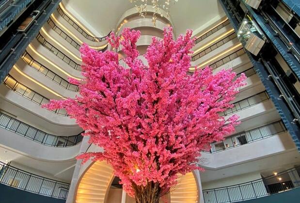 Dream Water World - Görsel 5