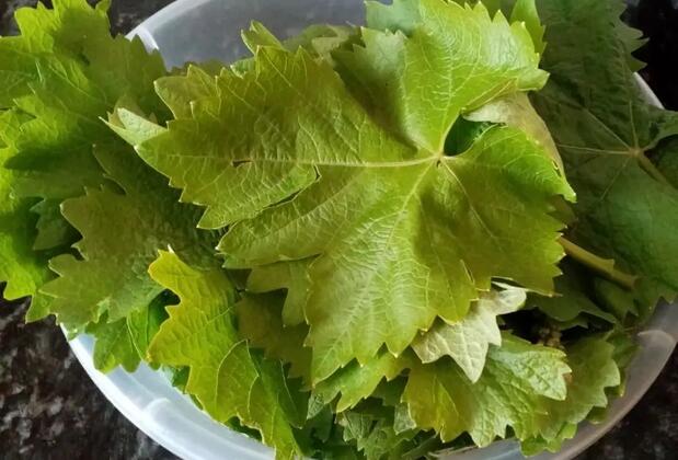 Otel Kaptanın Yeri Çeşme - Görsel 25