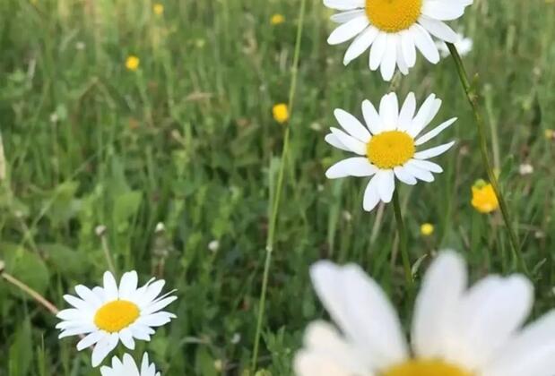 Otel Kaptanın Yeri Çeşme - Görsel 37